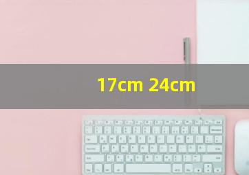 17cm 24cm